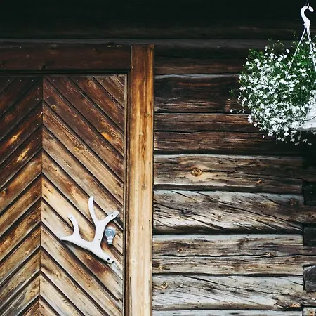 Lauri Historical Log House Manor