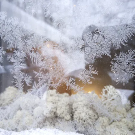 Lauri Historical Log House Manor