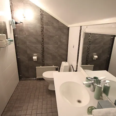 Lauri Historical Log House Manor Guest house 3*