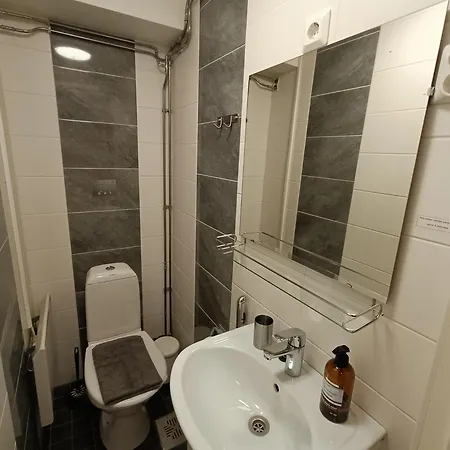Lauri Historical Log House Manor 3*
