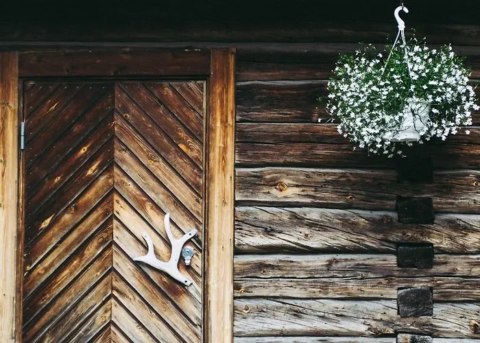 Lauri Historical Log House Manor