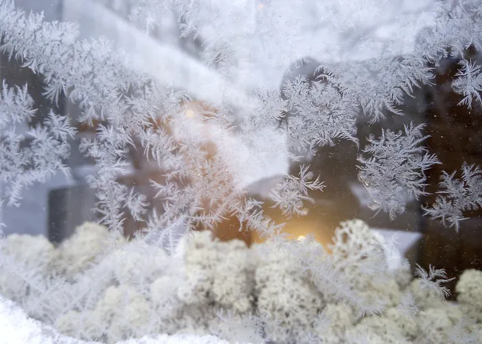 Lauri Historical Log House Manor